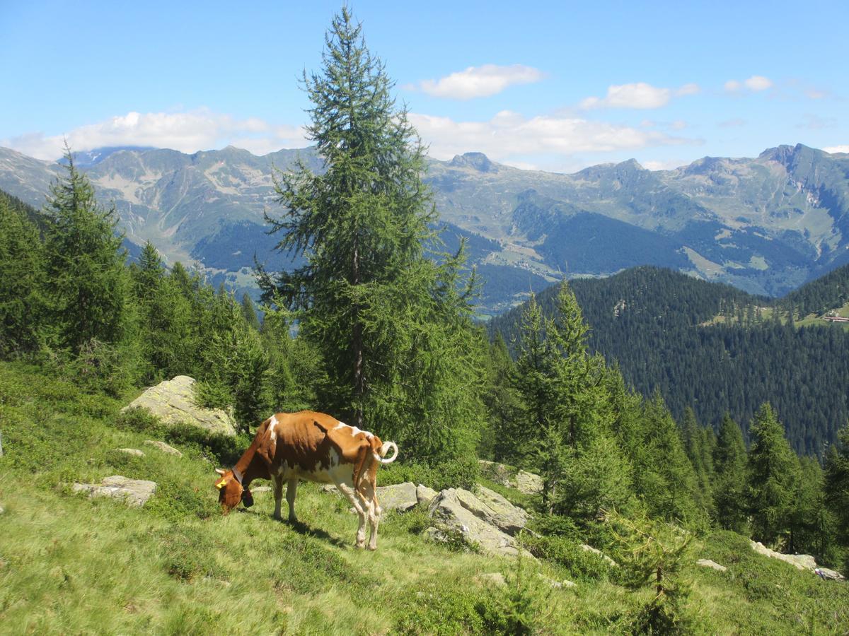 Gottardo Bed & Breakfast